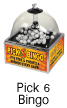 pick 6 bingo machine for sale